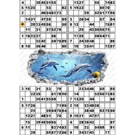 Plaque de 12 cartons de loto plastifié 500 Microns neuf (A3) il n'y a pas mieux !