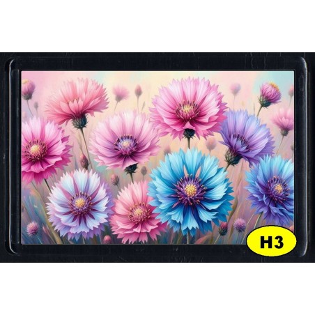 Cadre Photo Magnétique, Aimant Frigo (7x4,5cm)