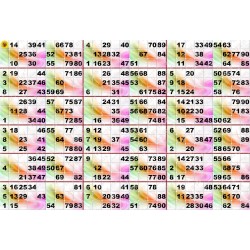 Plaque de 18 cartons de loto plastifié 500 microns neuf (A3)il n'y a pas mieux !