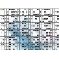 Plaque de 18 cartons de loto plastifié 500 microns neuf (A3)il n'y a pas mieux !