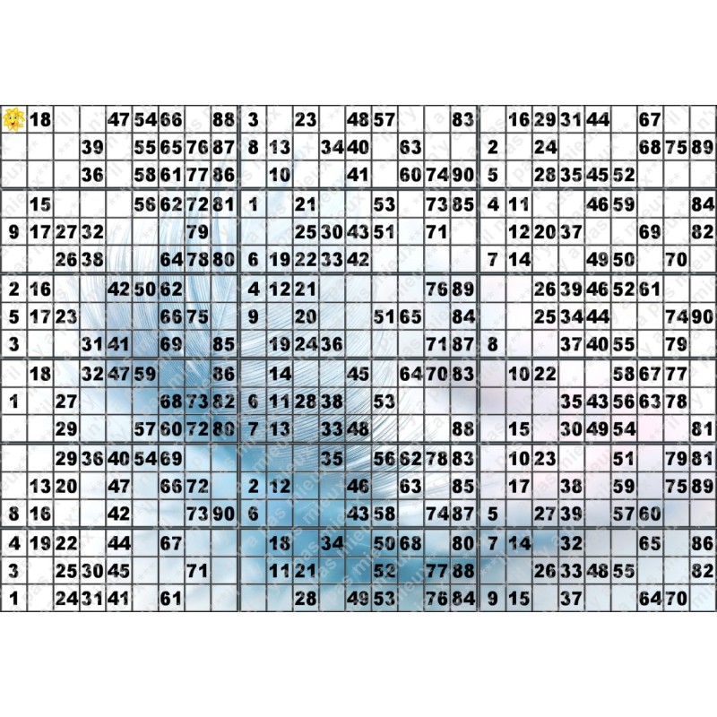 Plaque de 18 cartons de loto plastifié 500 microns neuf (A3)il n'y a pas mieux !