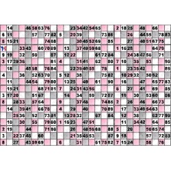 Plaque de 18 cartons de loto plastifié 500 microns neuf (A3)il n'y a pas mieux !