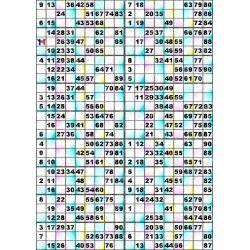 Plaque de 18 cartons de loto plastifié 500 microns neuf (A3)il n'y a pas mieux !