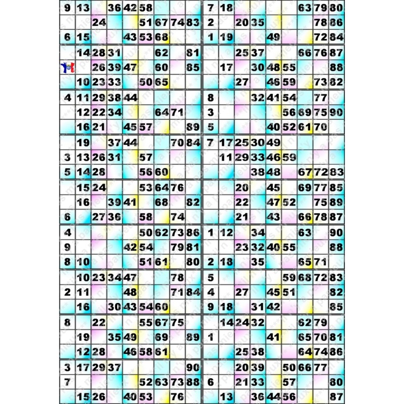 Plaque de 18 cartons de loto plastifié 500 microns neuf (A3)il n'y a pas mieux !