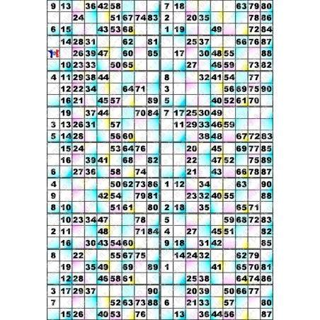 Plaque de 18 cartons de loto plastifié 500 microns neuf (A3)il n'y a pas mieux !