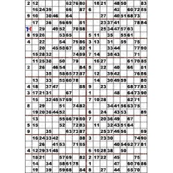 Plaque de 18 cartons de loto plastifié 500 microns neuf (A3)il n'y a pas mieux !
