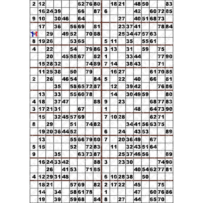 Plaque de 18 cartons de loto plastifié 500 microns neuf (A3)il n'y a pas mieux !