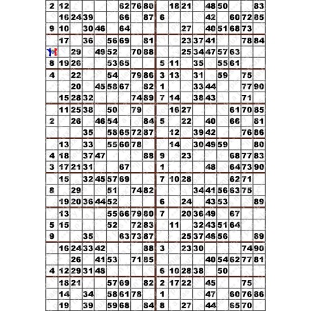 Plaque de 18 cartons de loto plastifié 500 microns neuf (A3)il n'y a pas mieux !