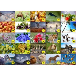 4 sets de table original pour une table d'été colorée il n'y a pas mieux !