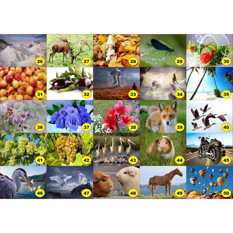 4 sets de table original pour une table d'été colorée il n'y a pas mieux !