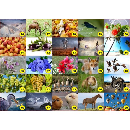 4 sets de table original pour une table d'été colorée il n'y a pas mieux !