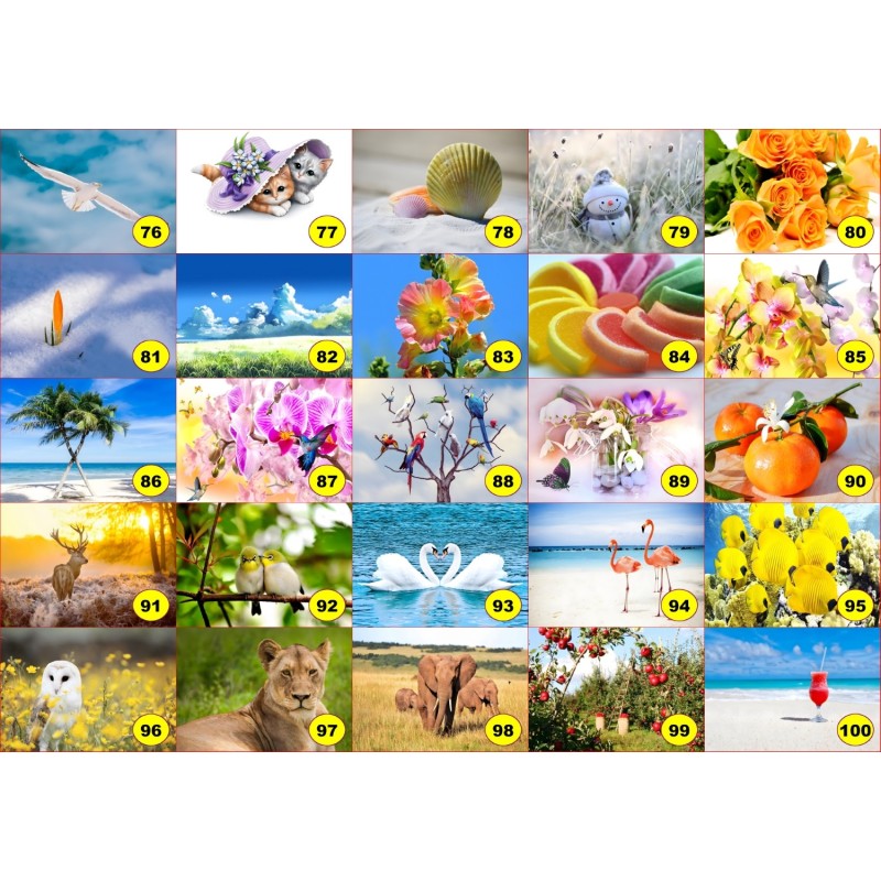 4 sets de table original pour une table d'été colorée il n'y a pas mieux !