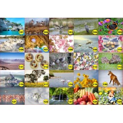 4 sets de table original pour une table d'été colorée il n'y a pas mieux !