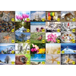 4 sets de table original pour une table d'été colorée il n'y a pas mieux !