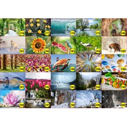 4 sets de table original pour une table d'été colorée il n'y a pas mieux !