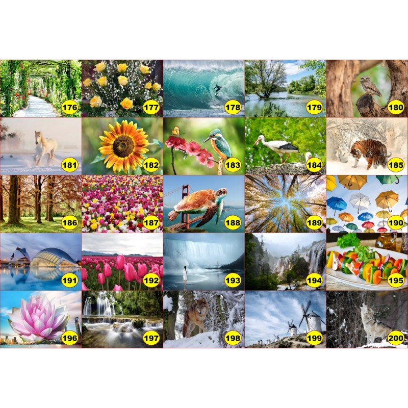 4 sets de table original pour une table d'été colorée il n'y a pas mieux !