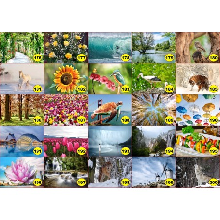 4 sets de table original pour une table d'été colorée il n'y a pas mieux !