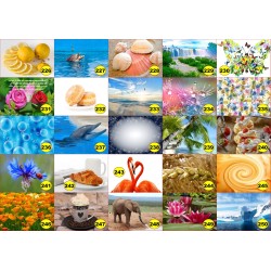 4 sets de table original pour une table d'été colorée il n'y a pas mieux !