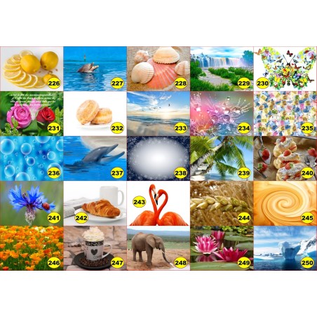 4 sets de table original pour une table d'été colorée il n'y a pas mieux !