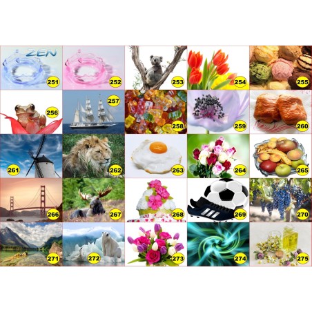 4 sets de table original pour une table d'été colorée il n'y a pas mieux !