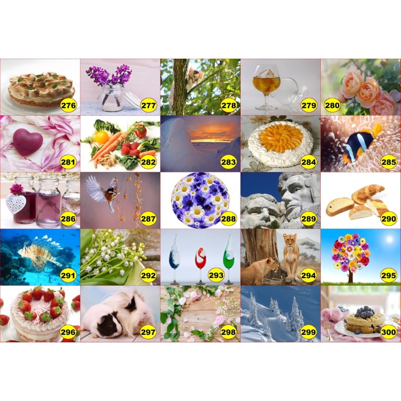 4 sets de table original pour une table d'été colorée il n'y a pas mieux !