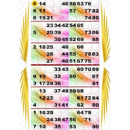 Plaque de 6 cartons de loto plastifié 200 microns neuf A4.
