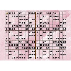 Plaque de 10 cartons de loto plastifié pliable neuf (A3) idéal pour Malvoyants.