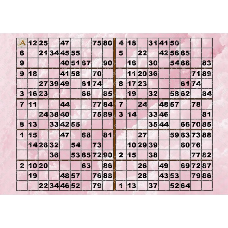 Plaque de 10 cartons de loto plastifié pliable neuf (A3) idéal pour Malvoyants.