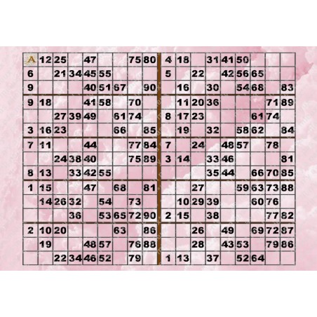 Plaque de 10 cartons de loto plastifié pliable neuf (A3) idéal pour Malvoyants.