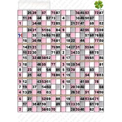 Plaque de 12 Cartons avec porte étiquette à tamponner offertes.